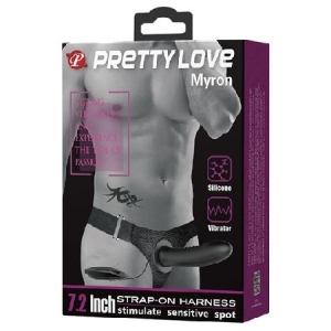 Pretty Love Myron, 22056