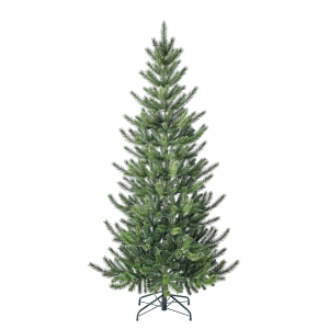 Jelka Cedar Pine 240cm